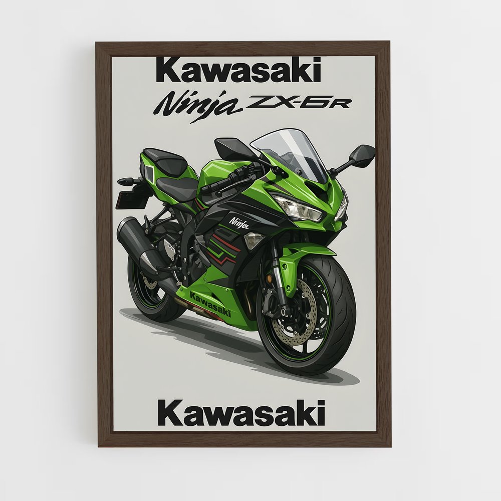 Poster Ninja zx-6r Énigmatique (vue 5)